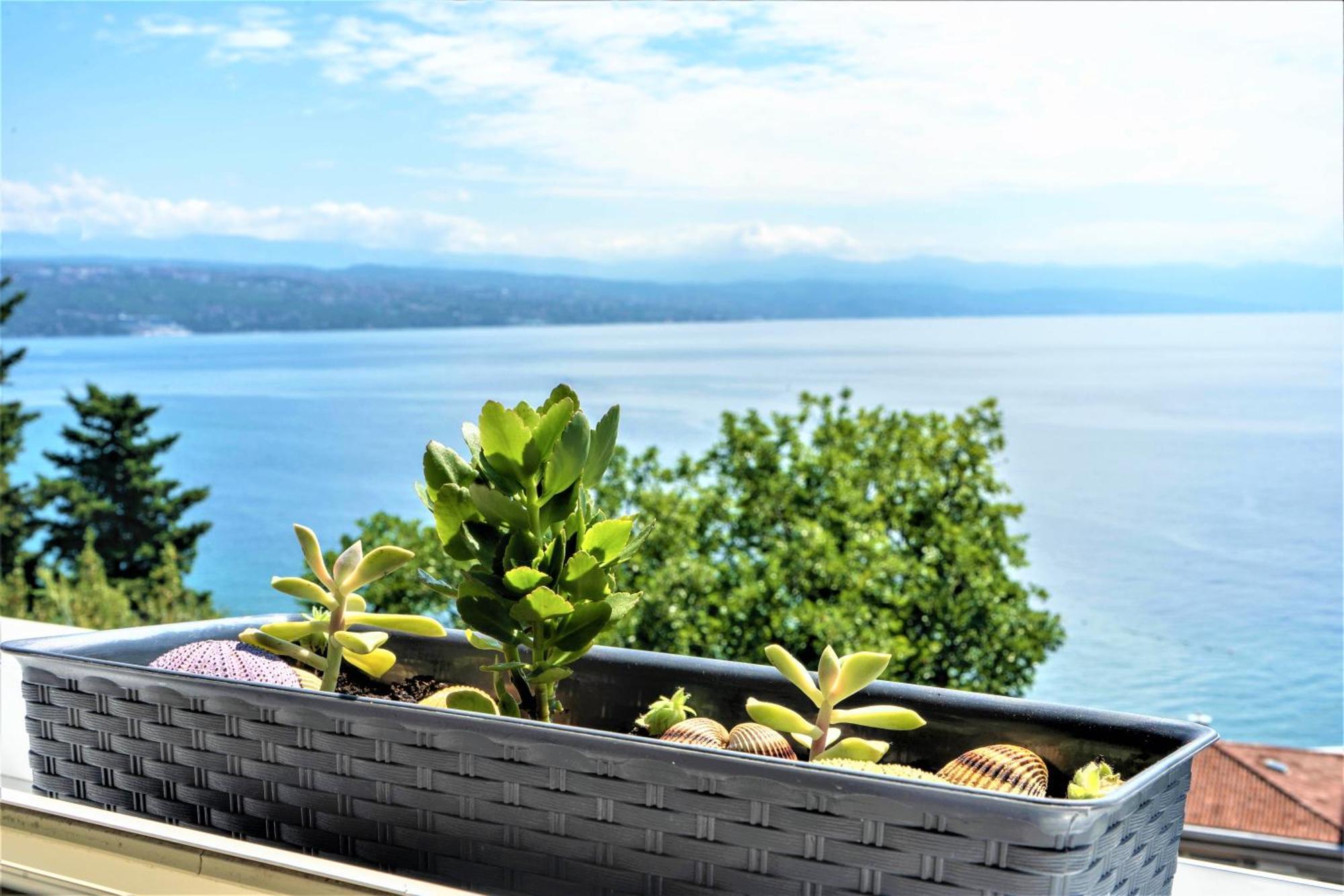 Apartment Near With Sea View