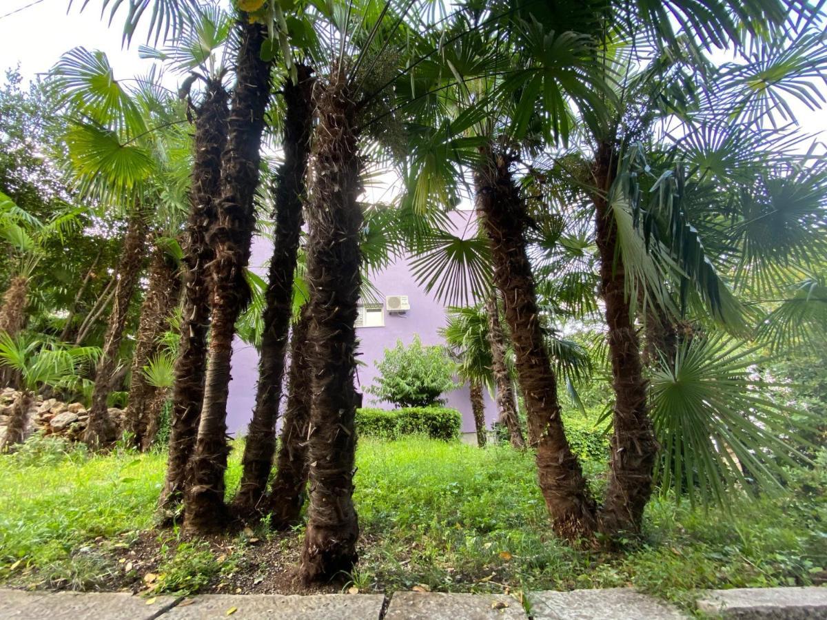 Near With Sea View